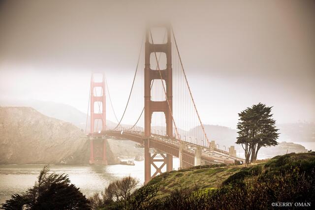 Into the Fog print