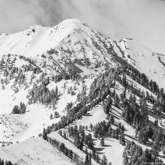 Ascent Line print