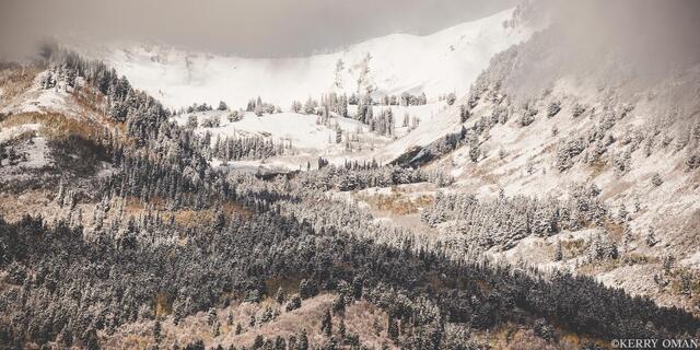 Layers of the First Snow print
