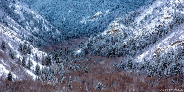Winter Hollow print