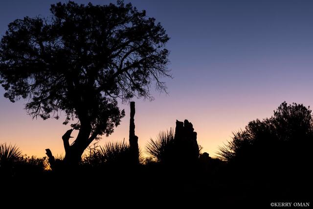 Desert Silhouettes at Dawn print