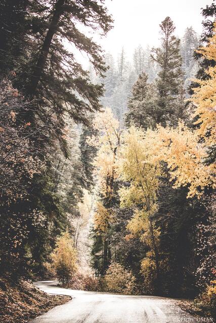 October Descent print