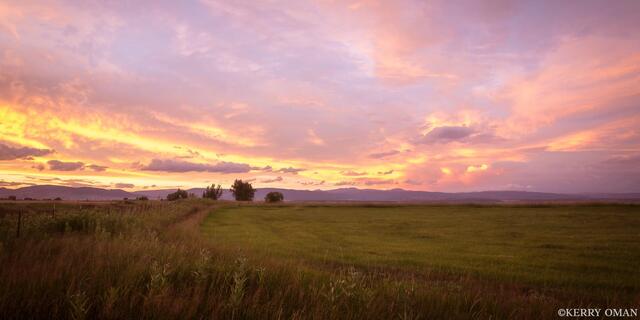 Evening Over the Field print
