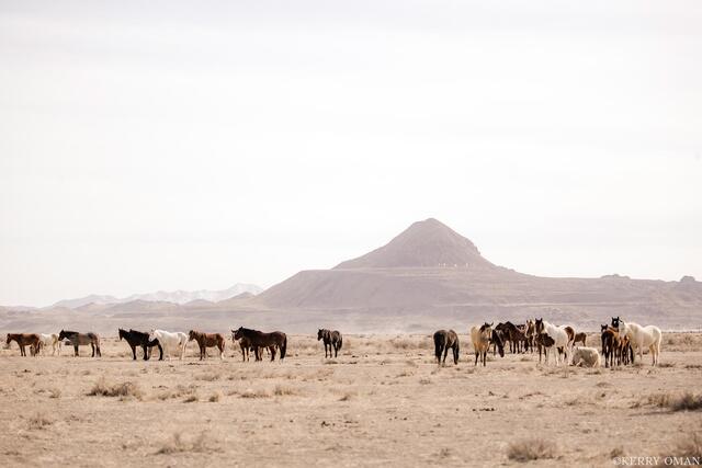 Western Stillness print