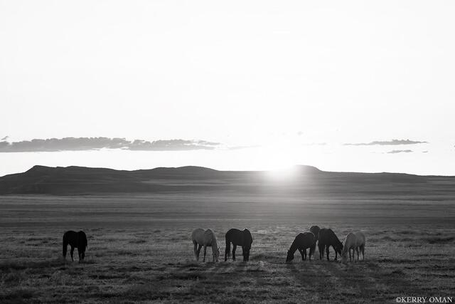 Where the Light Begins print