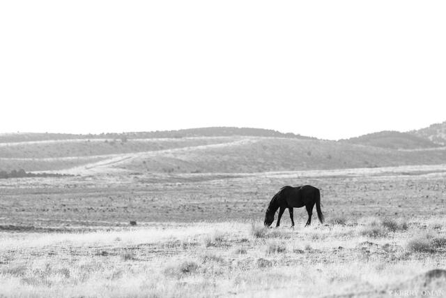 Where the Hills Fade print
