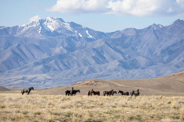 The Range Beyond print