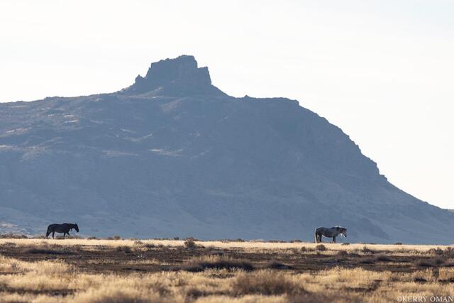 Solitude Beneath the Butte print