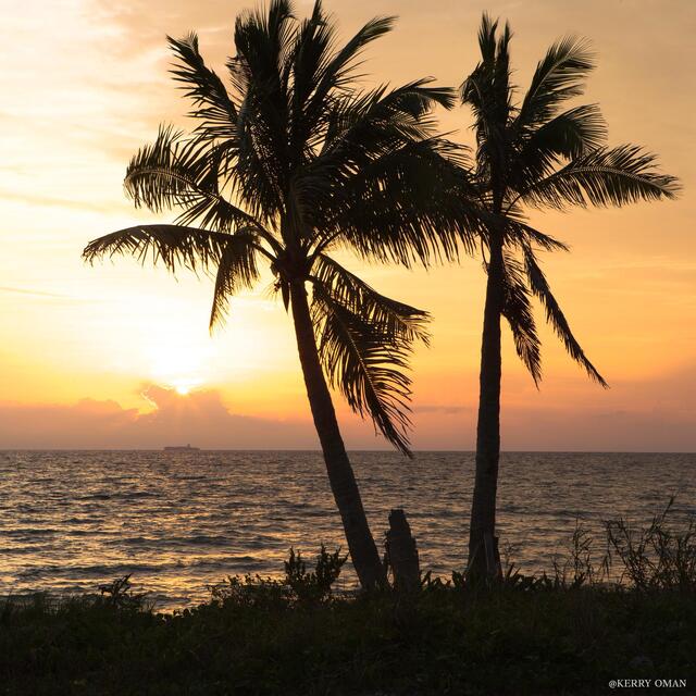 Tropical Stillness print