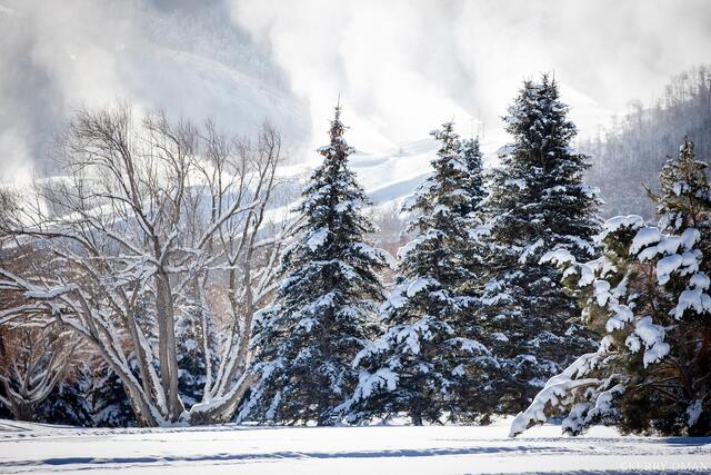 Winter Morning in Park City print