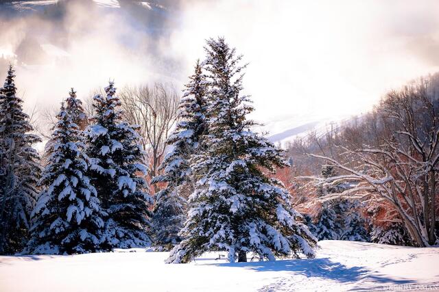 Winter Glow in Park City print