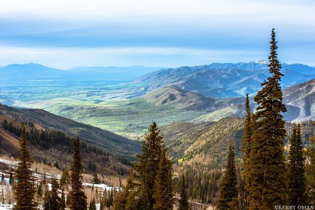 Valley Awakening print