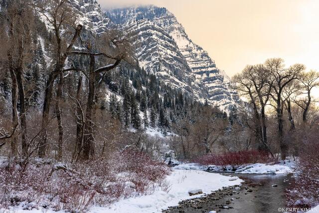 Winter Canyon Light print