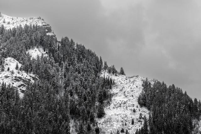Ridge in Winter Light print