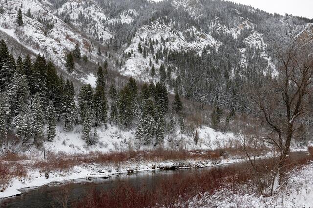 Winter Along the Lower Canyon print