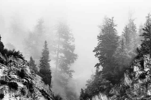Into the Fog print