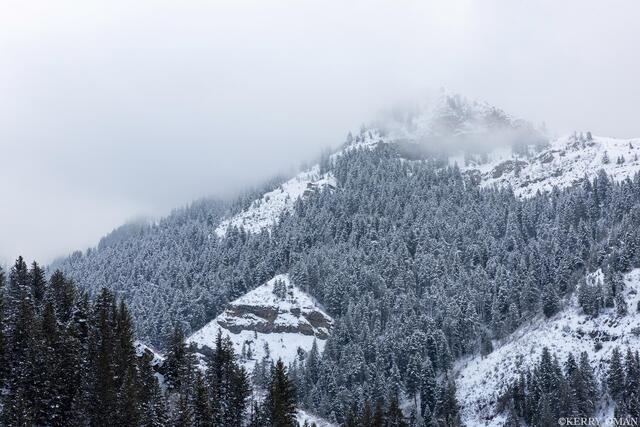 Into the Cloudline print