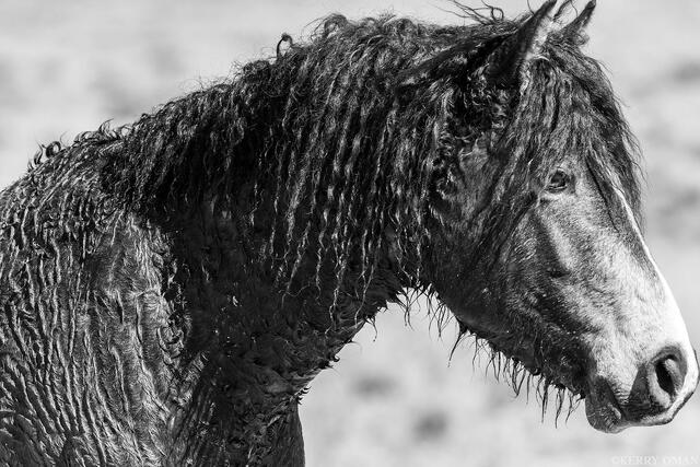 Weathered Grace print