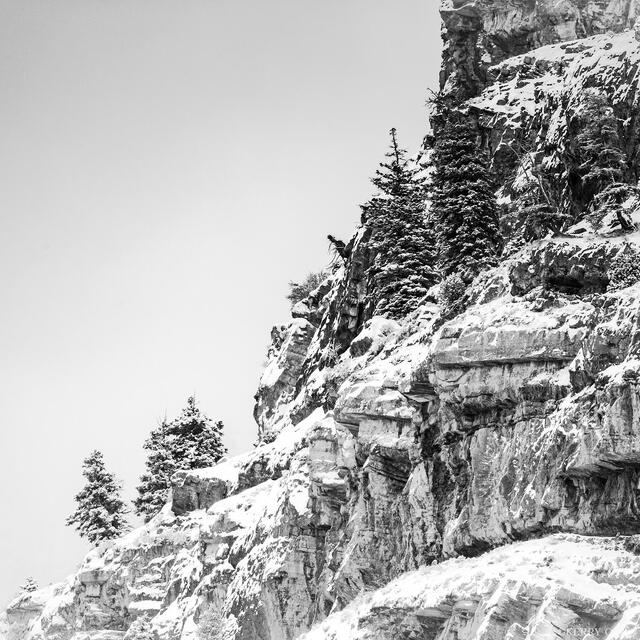 Edge of Winter print