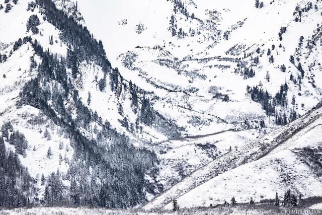 Pattern in the Snow print