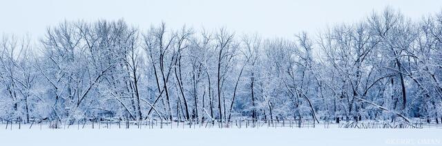 Silent Row print