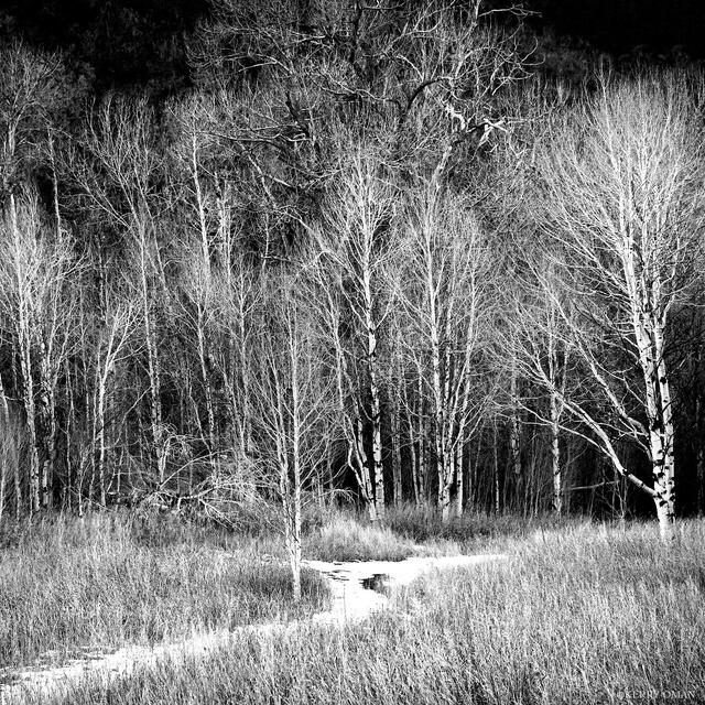 Path into Stillness print