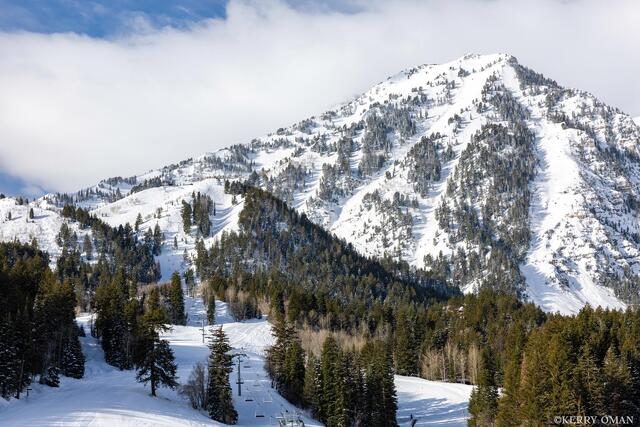 Snowline Ascent print