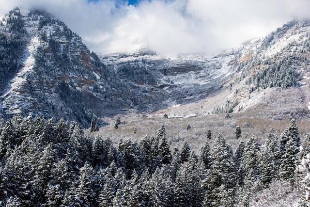 First Snowfall in the Canyon print
