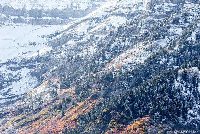 Where Autumn Holds On print