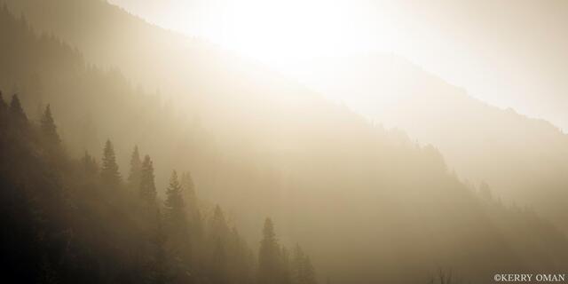 Fading Into Light print