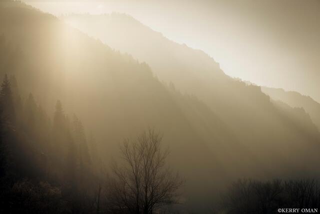 Silent Light print
