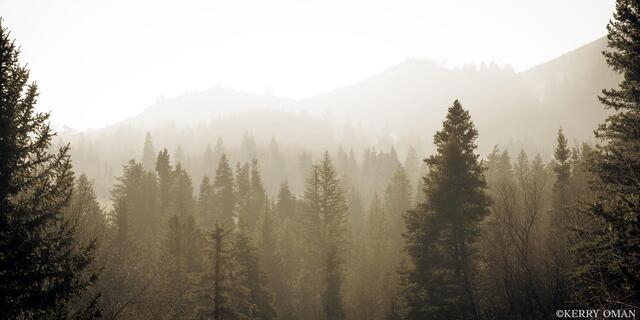 The Quiet Beyond print