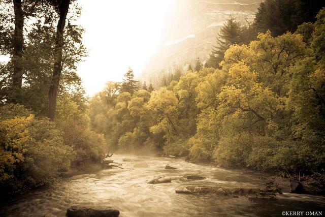 Into the Canyon Light print