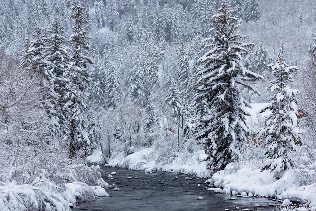 Winter Along the Upper Provo print