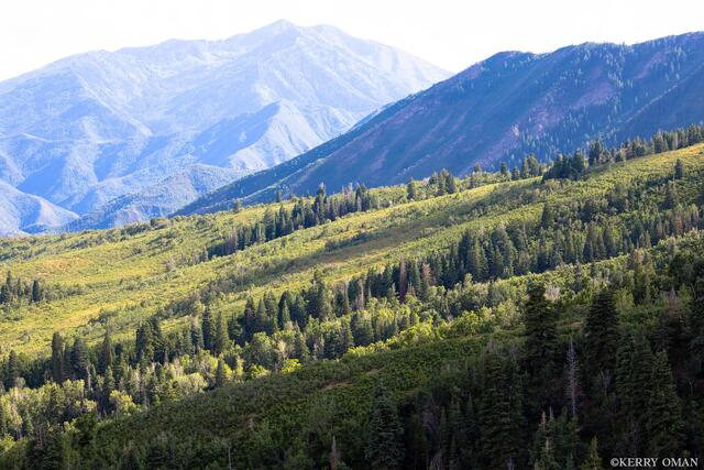Layers of Green and Sky print