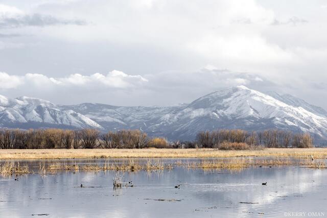 Edge of Winter, Utah Lake print