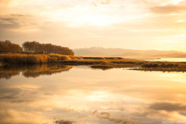 Golden Quiet at Utah Lake print
