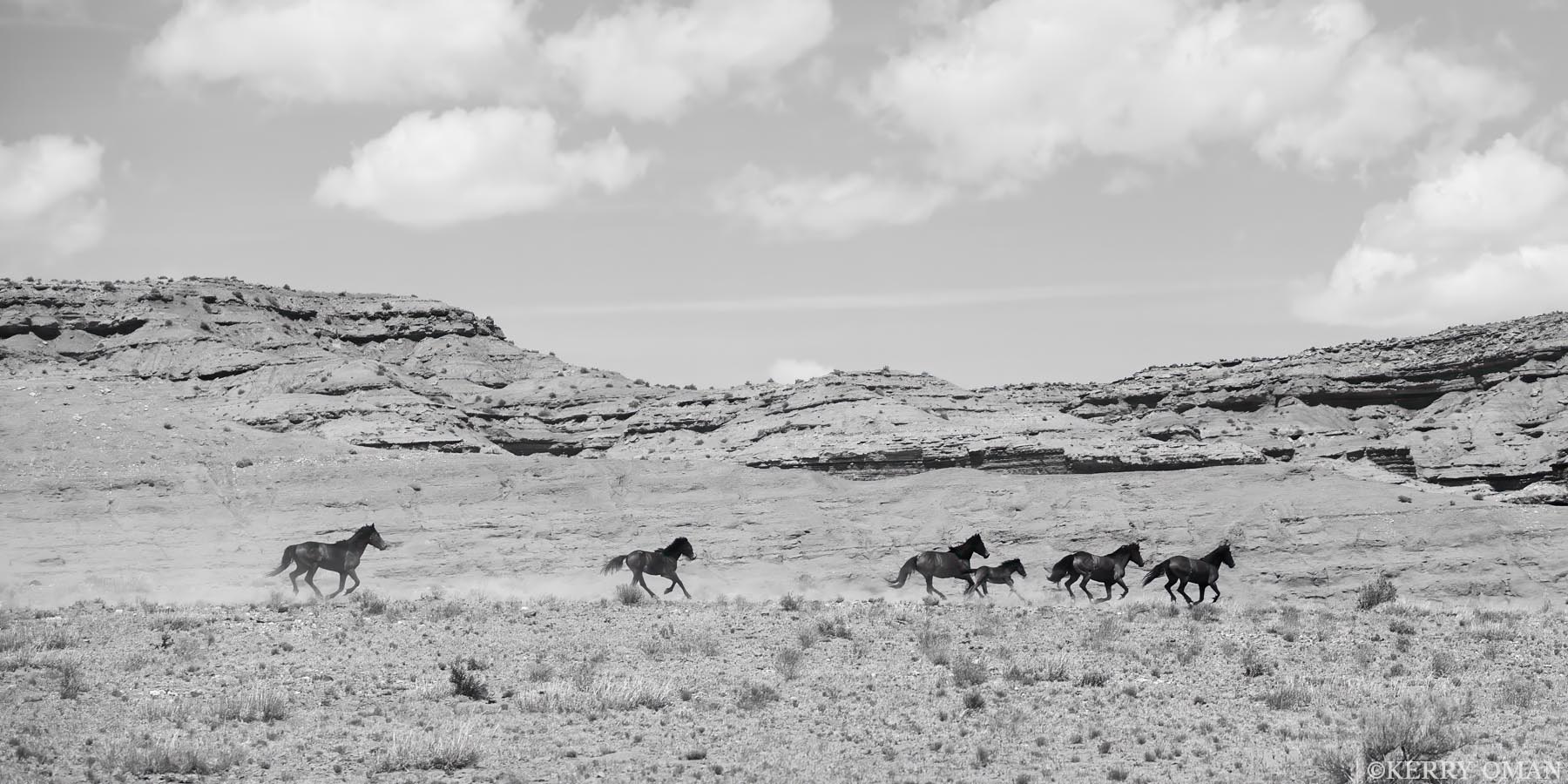Chasing Dust and Sky A band of wild horses charges across the rugged desert near the Green River, Utah, kicking up a veil of dust beneath a sky brushed...