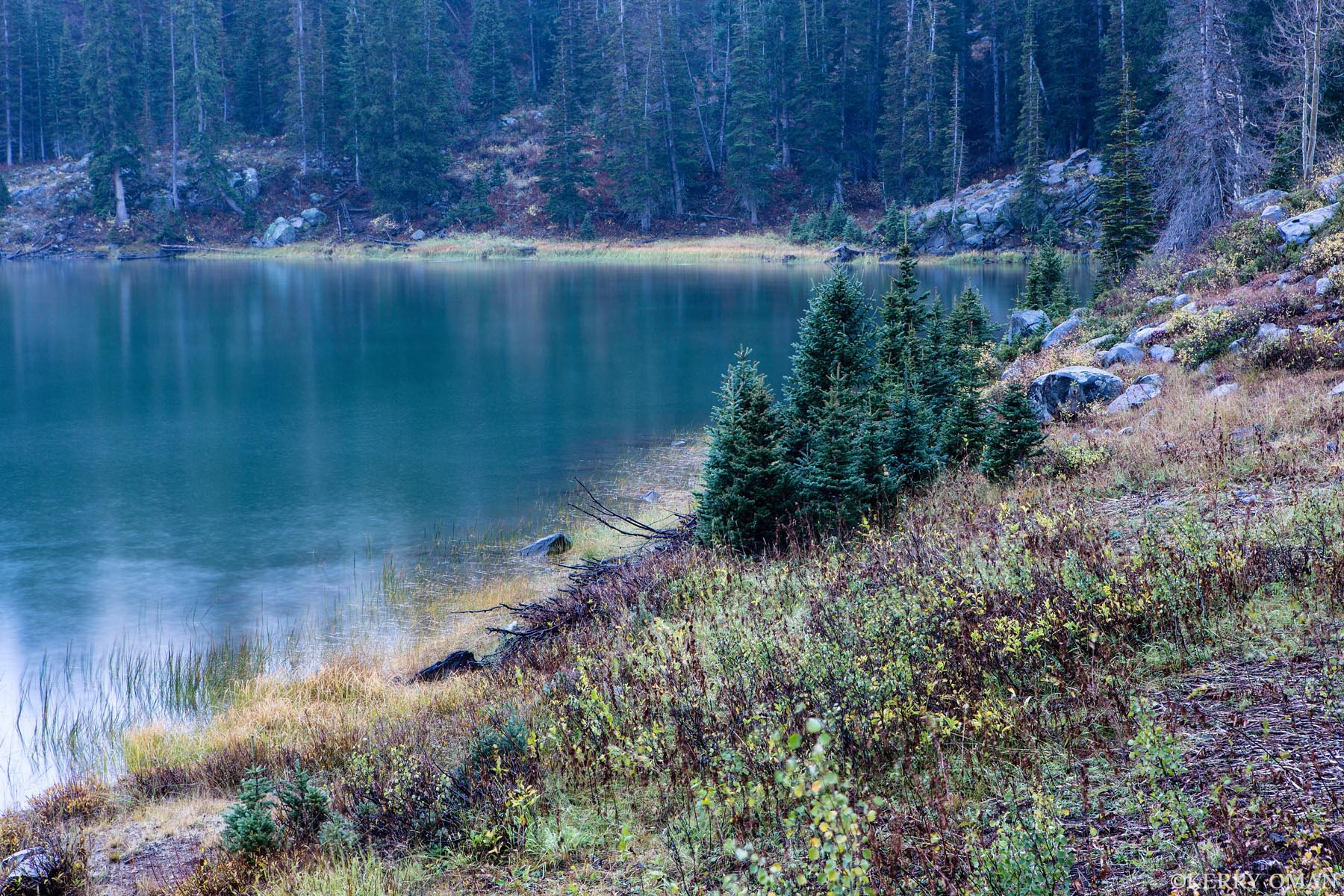 Along the Quiet Shore At the edge of an alpine lake, low autumn color meets the cool calm of early morning. Young firs rise from the shoreline while...