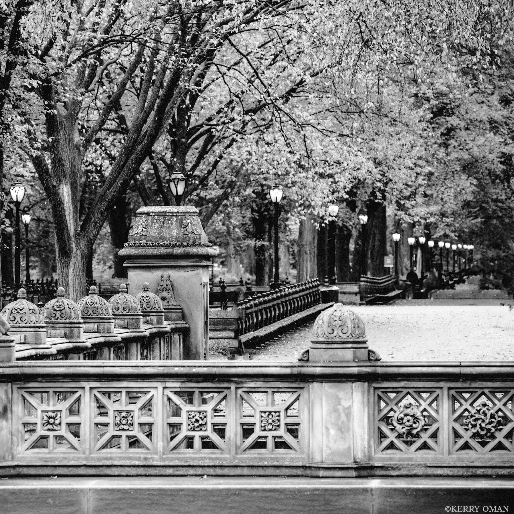 Ornament and Silence Intricate stone balustrades frame a quiet path in Central Park’s Mall, where rows of benches and softly glowing lampposts...