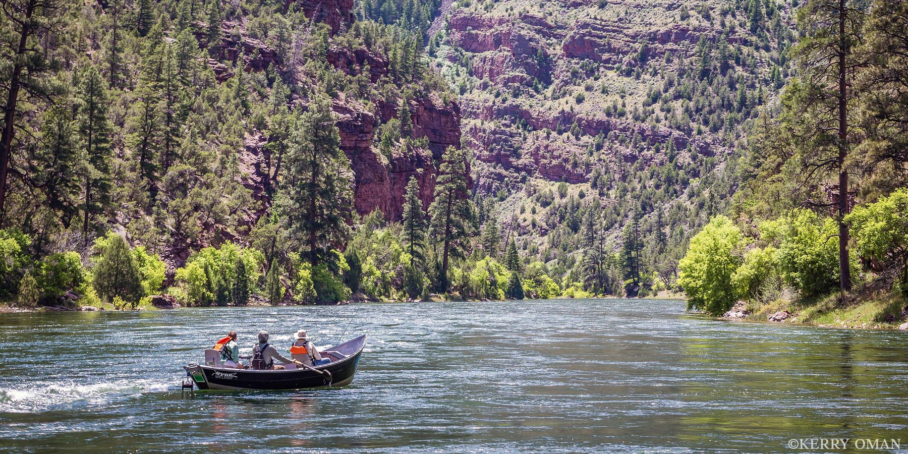 River Passage The Green River winds through steep red rock canyons below Flaming Gorge, framed by dense pine forest and summer light. Ripples...