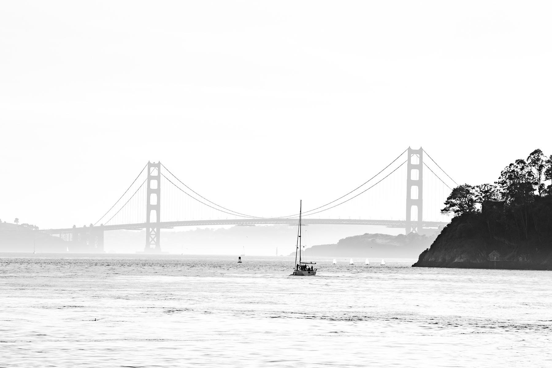 Crossing in Silence A lone sailboat glides across San Francisco Bay as the Golden Gate Bridge rises softly through the coastal haze. Captured in...